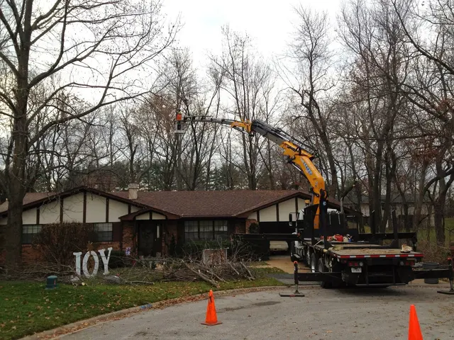 Meurer Brothers Tree Care — photo from the business 9