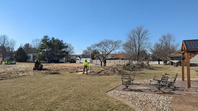 Meurer Brothers Tree Care — customer photo 3