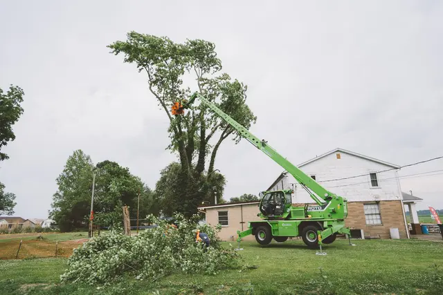 Meurer Brothers Tree Care — customer photo 5