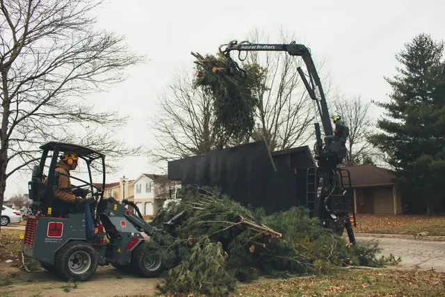 Meurer Brothers Tree Care — customer photo 11