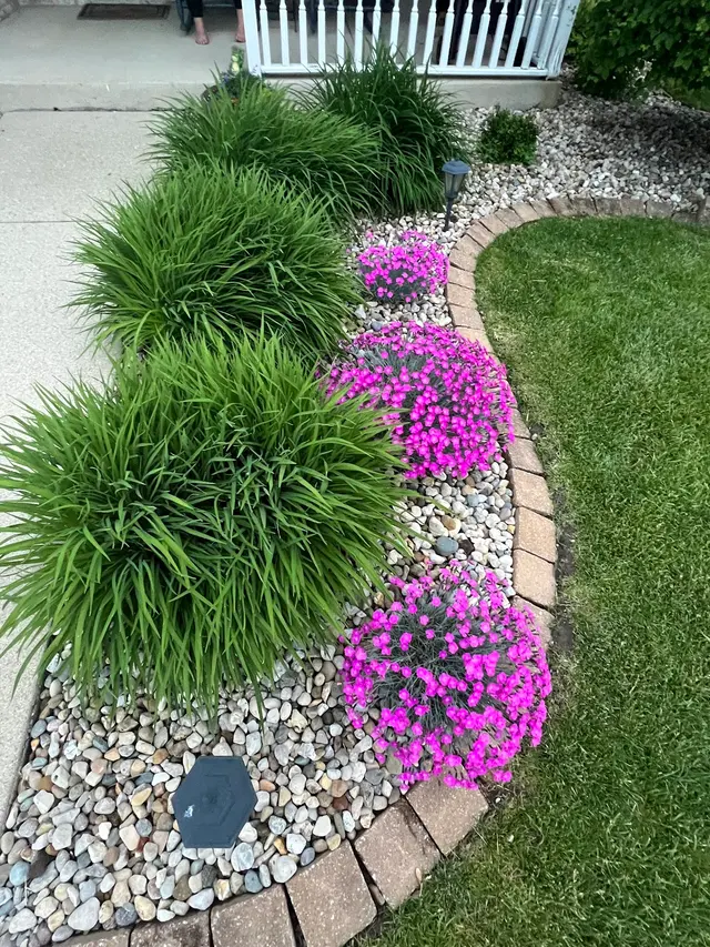 Dawn To Dusk Landscaping — photo from the business 11