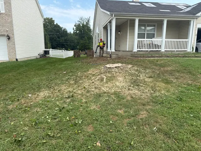 Lawn Mex Inc and Tree Service — customer photo 2