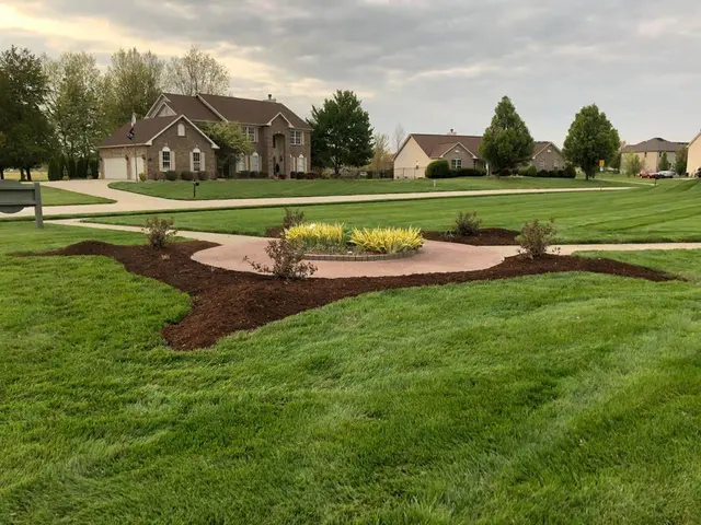 Lawn Mex Inc and Tree Service — customer photo 4