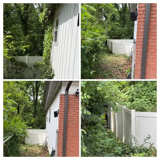 Lawn Mex Inc and Tree Service — customer photo 7