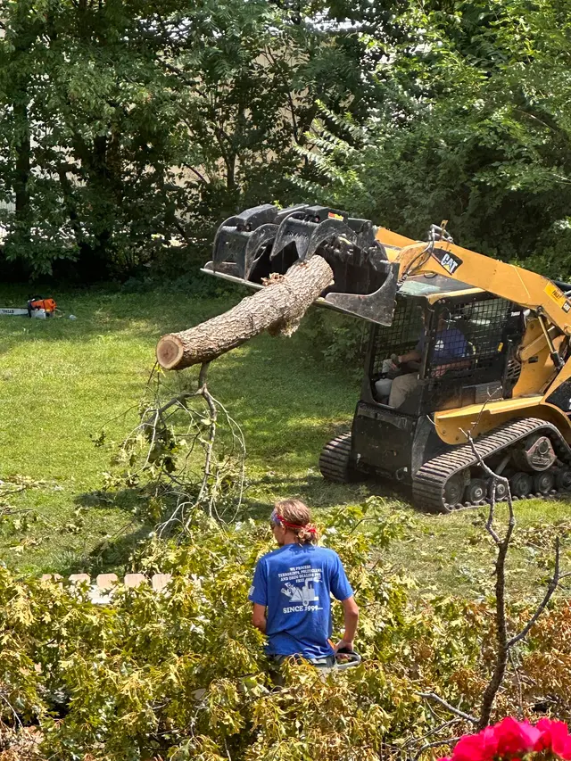 American Tree Doctor, LLC — customer photo 12