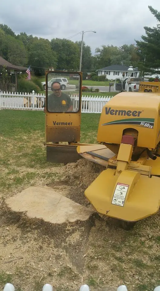 American Tree Doctor, LLC — photo from the business 10
