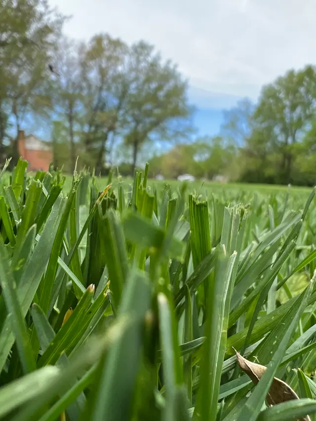 Wade's Reliable Lawncare — photo from the business 8