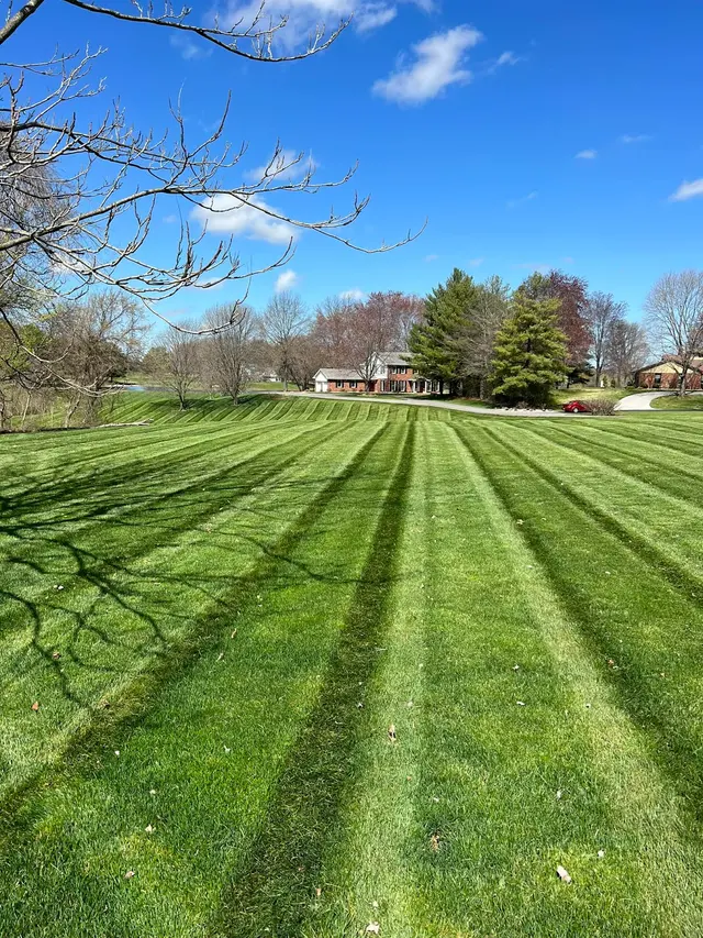Wade's Reliable Lawncare — photo from the business 3