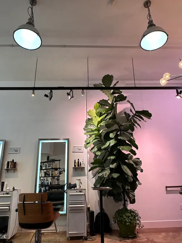 Salon 96 Throckmorton — customer photo 5