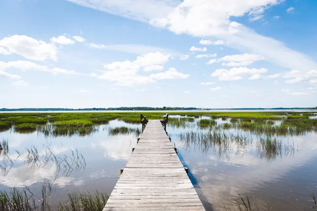 Bottletree Properties - Real Estate Appraisal and Brokerage Services — photo from the business 3
