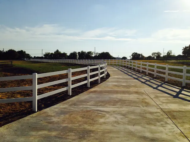 Custom Fence & Pergola LLC — photo from the business 5