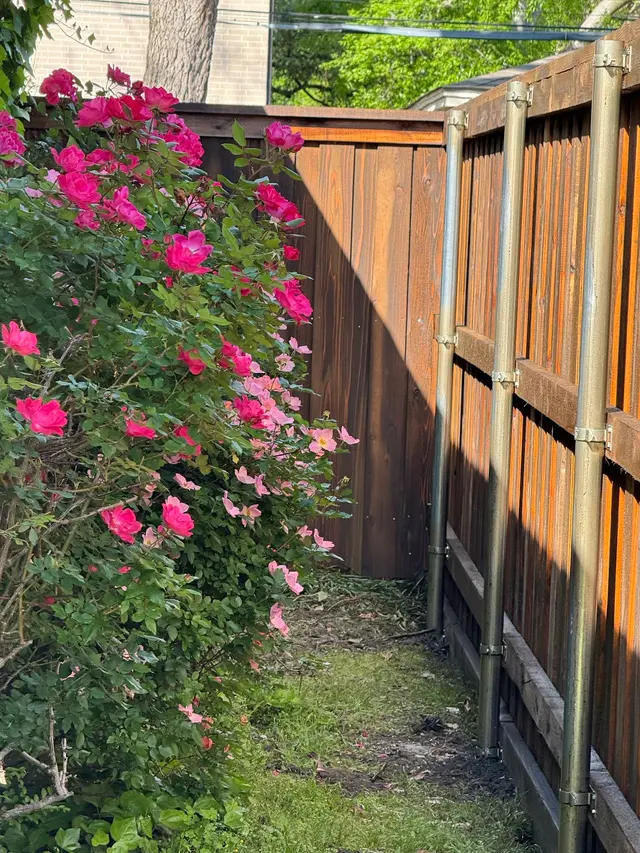 Customer photo of work by Walker Custom Exteriors, from Austin Perry's review