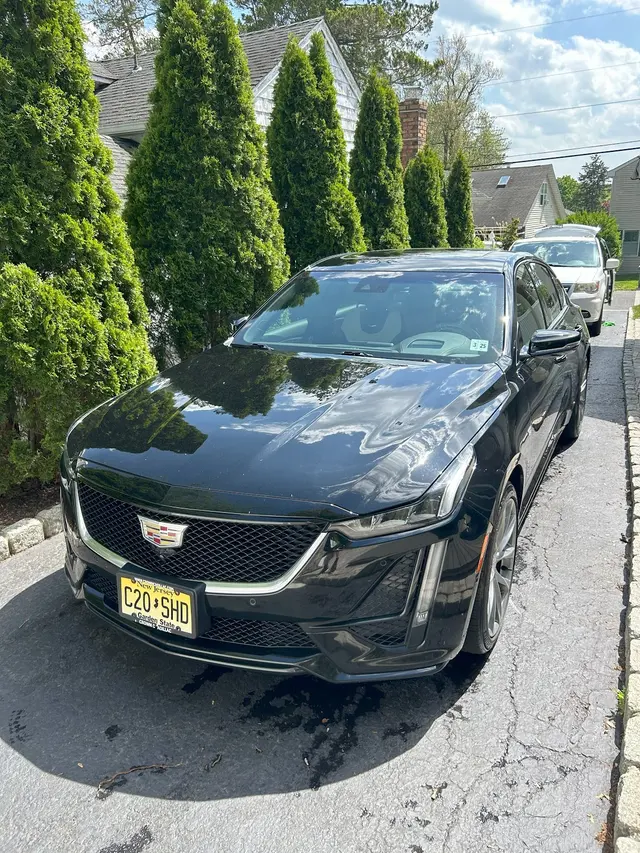 Cozy Clean Mobile Detailing — photo from the business 12