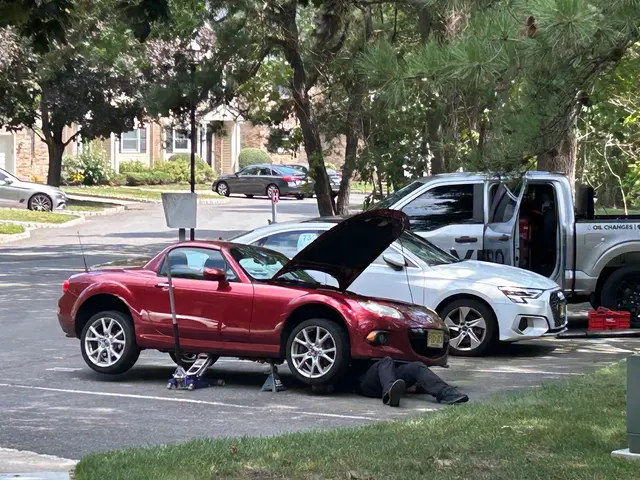 Avero Mobile Auto Care — customer photo 10