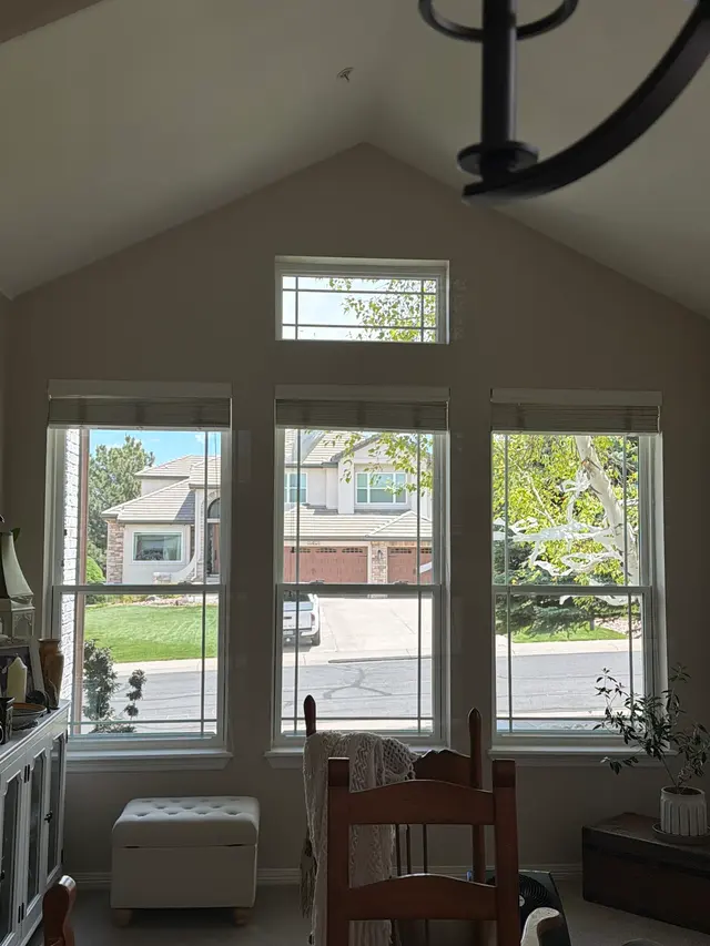 Customer photo from Shannon's review