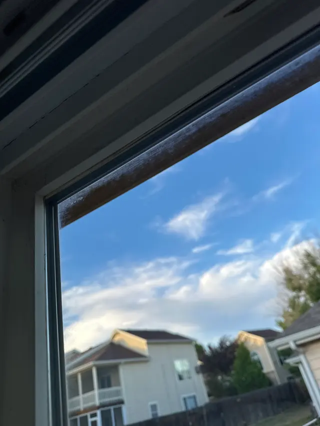 Sonlight Window Cleaning — customer photo 4