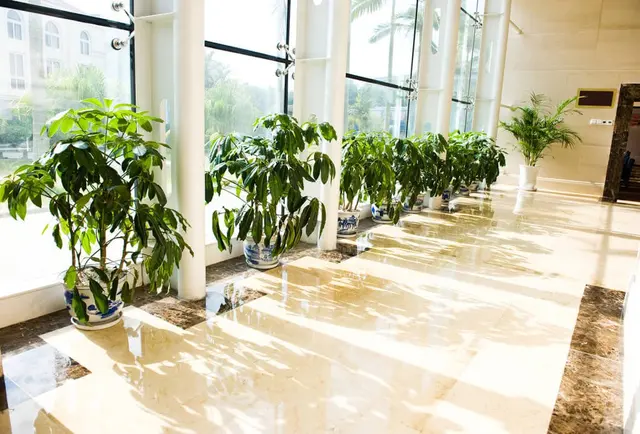 Denver Cleaning Service Company — photo from the business 5