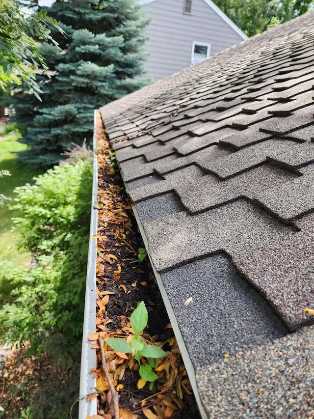 Top Notch Gutter Services — photo from the business 1