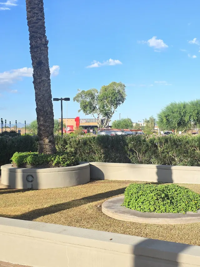 Calm Psych — customer photo 3
