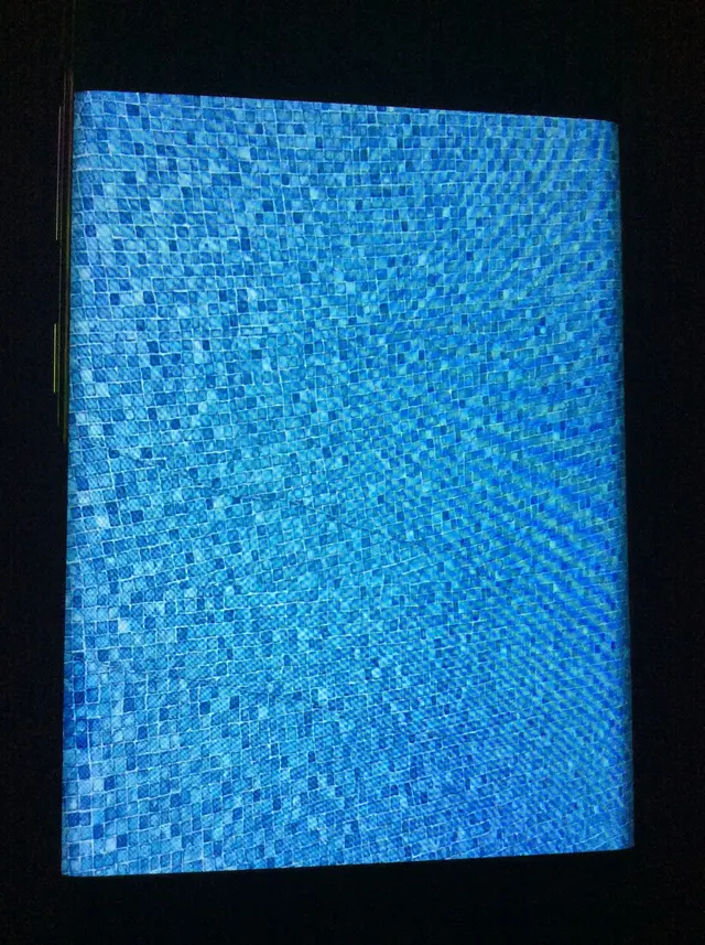 Perfect Pools Inc — customer photo 10