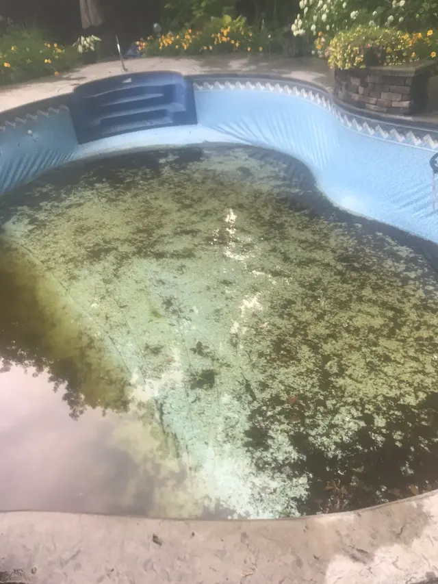 Perfect Pools Inc — customer photo 6