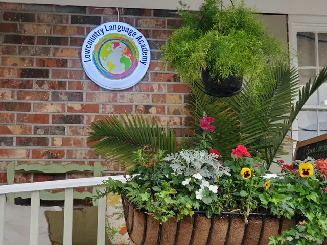 Lowcountry Language Academy — photo from the business 11
