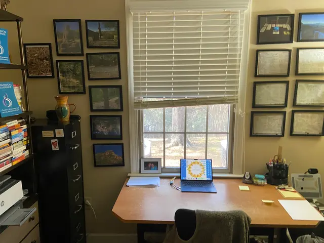 Center for Neurological Intelligence - Life and Marriage Counseling — photo from the business 5