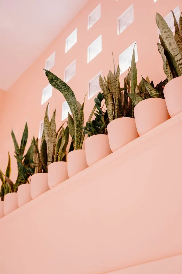 Lara Clinic — photo from the business 3