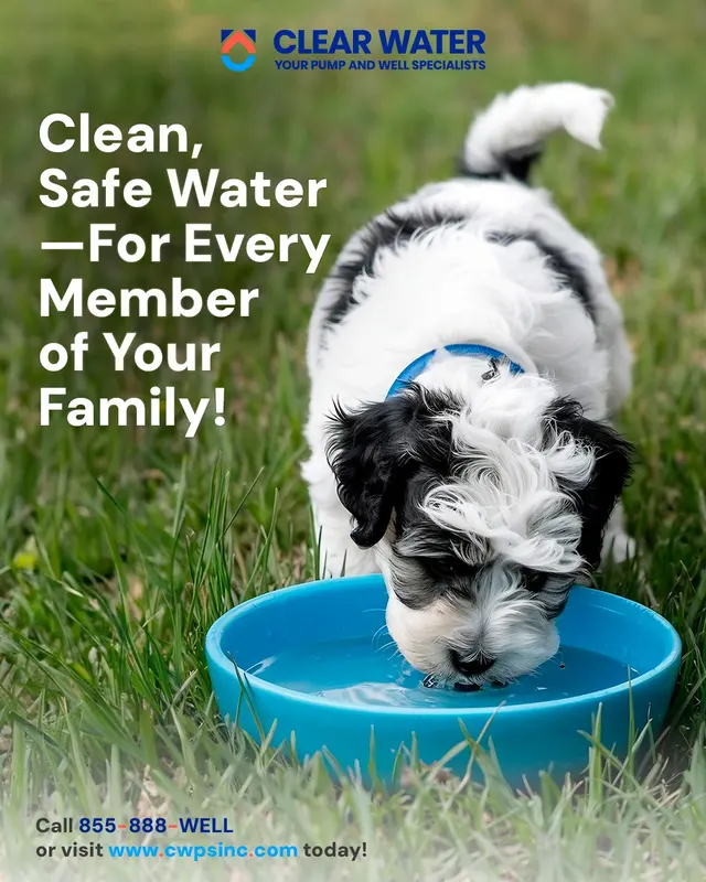Clear Water Filtration, Pump and Well Service — photo from the business 11