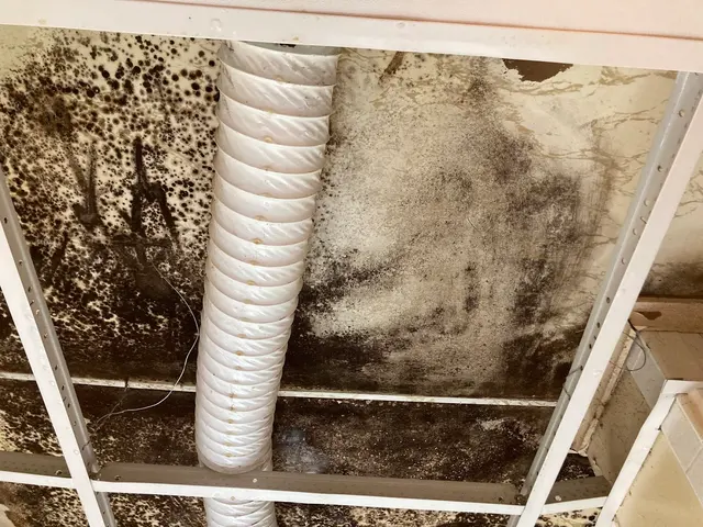 SERVPRO of Taunton, Mansfield, Seekonk, Dighton — photo from the business 10