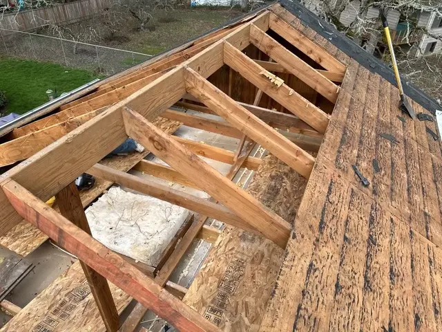 Customer photo from Lewis's review