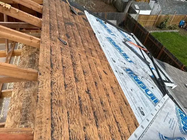 Customer photo from Lewis's review