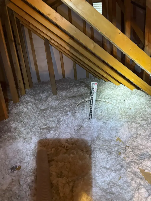 Energy Armor — customer photo 1
