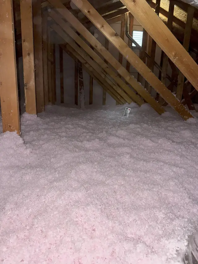 Energy Armor — customer photo 10