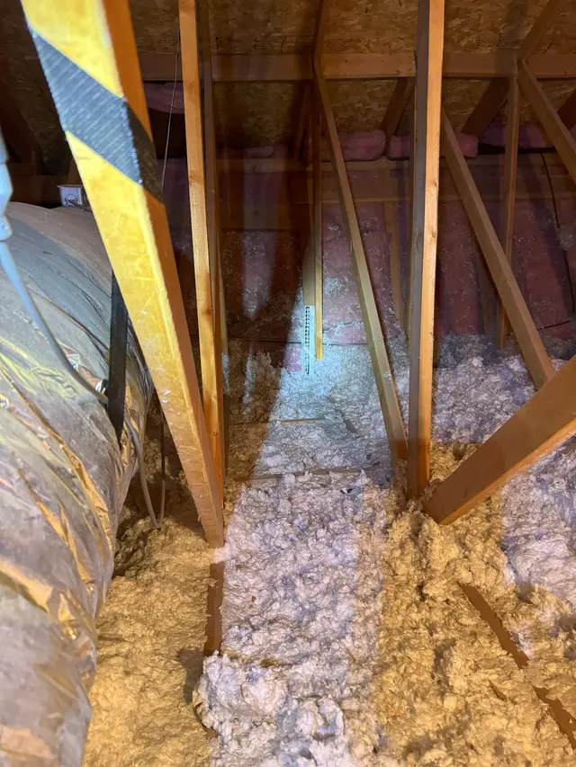 Energy Armor — customer photo 2