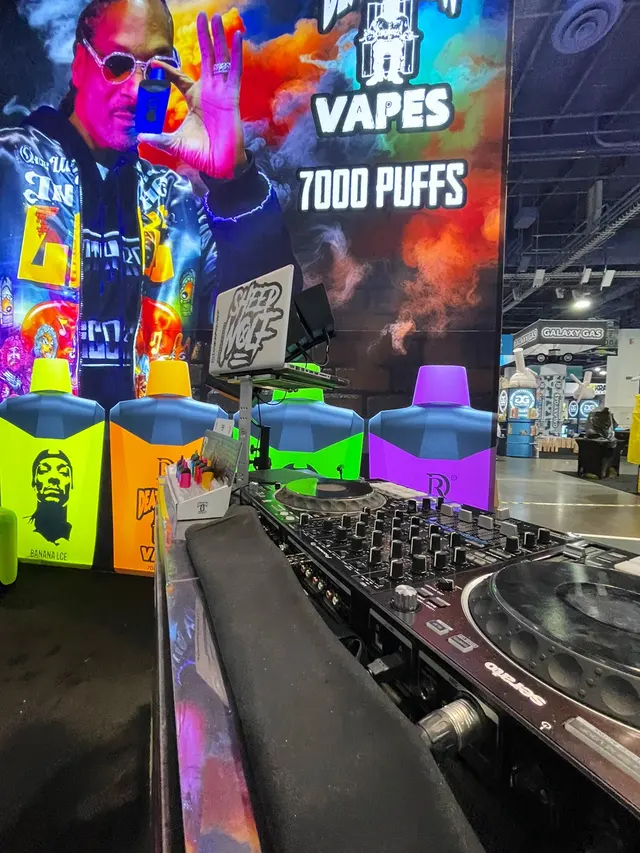 Las Vegas Mobile DJs — photo from the business 9