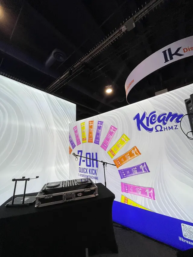 Las Vegas Mobile DJs — photo from the business 7