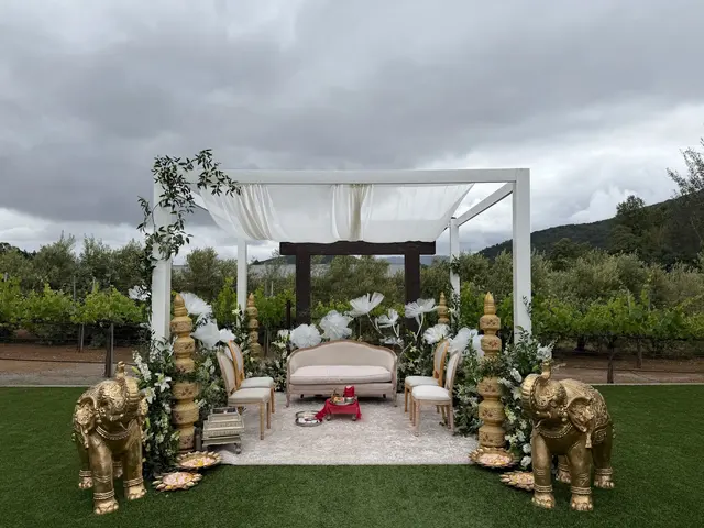 Dazzling Streaks Events — customer photo 5