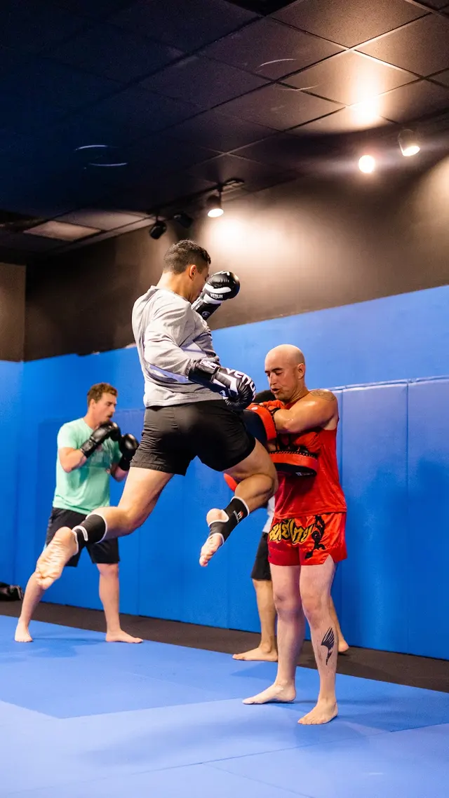 Midwest Martial Arts Academy — photo from the business 8