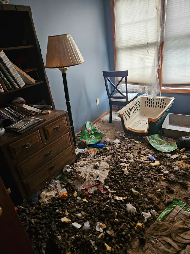 Junk Removal Dudes™ Kane County — photo from the business 8