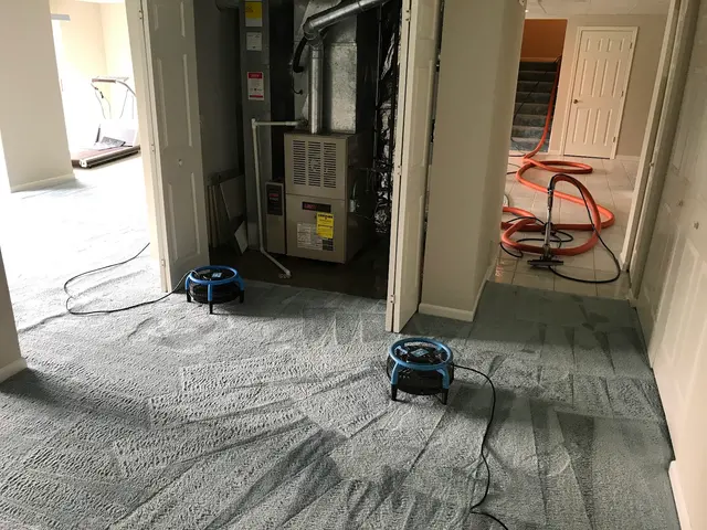 Total Solution Cleaning — photo from the business 4