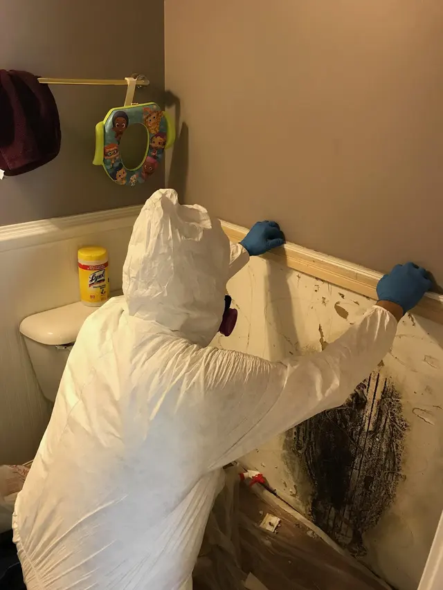 Total Solution Cleaning — photo from the business 10