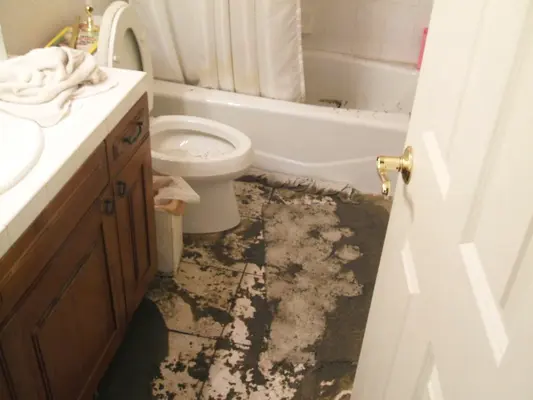 Alta Property Services — photo from the business 9