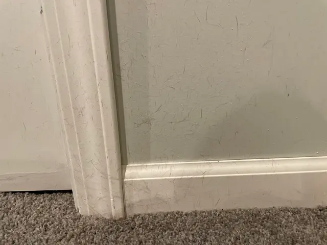 Customer photo from Jennifer's review