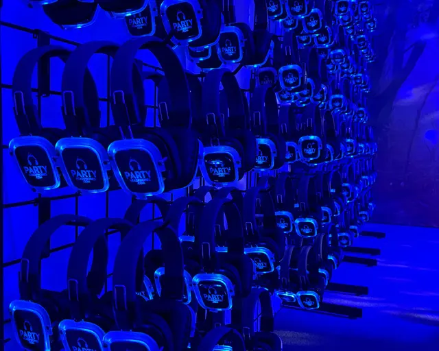 Party Headphones — photo from the business 2