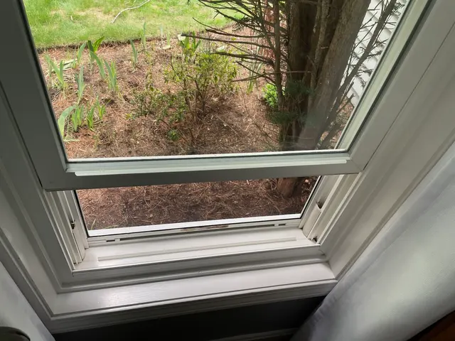 Eclipse Window Cleaning — customer photo 9